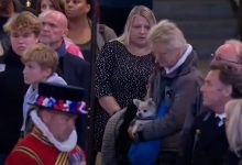 Фото - Британцы приносят на церемонию прощания с Елизаветой II cвоих собак и прах близких