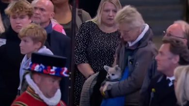 Фото - Британцы приносят на церемонию прощания с Елизаветой II cвоих собак и прах близких