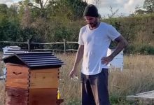 Фото - Дэвид Бекхэм занялся пчеловодством и показал первый урожай