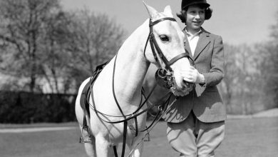 Фото - Карл III продаст 12 скаковых лошадей из конюшни Елизаветы II